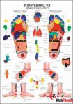 Anatomia człowieka REFLEKSOTERAPIA STOPY poster 70x100cm język polski