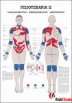 Anatomia człowieka KRIOTERAPIA poster 70x100cm język polski