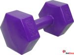 Hantla fitness STAYER SPORT cementowa 2kg